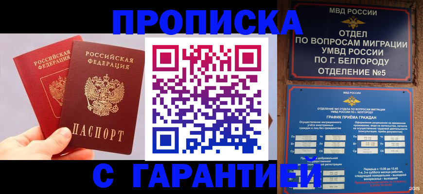 прописка 2025 в Пугачёве